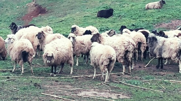 089fb2c9cb65a9de728c7d88ac6b0099~2