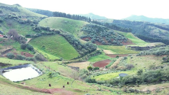 abce3fe6d1aeb9ffbb7f9d8c7f8d3ff4~2